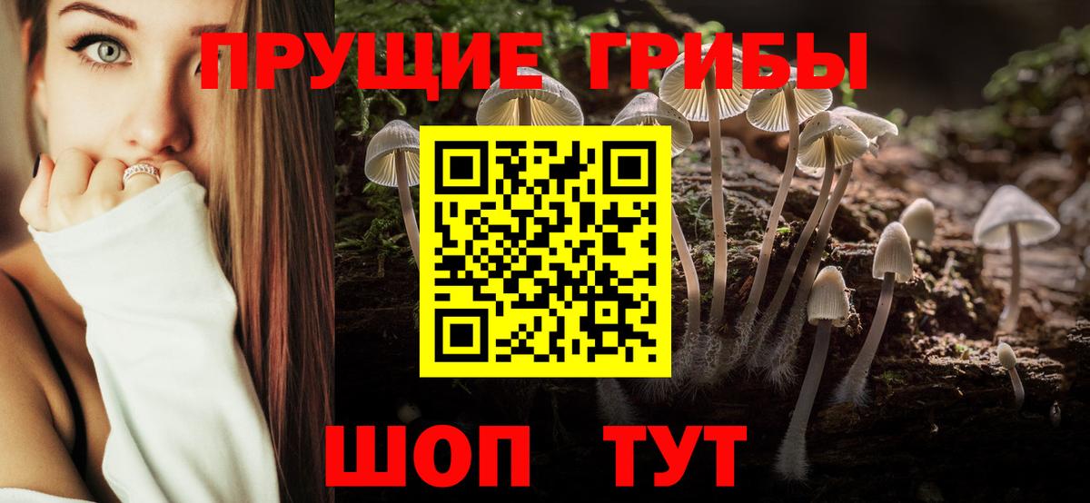 Псилоцибиновые грибы GOLDEN TEACHER Воронеж